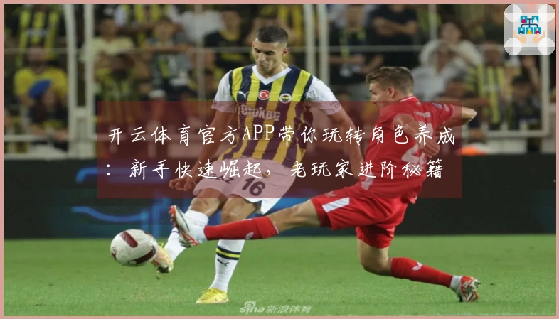 开云体育官方APP带你玩转角色养成：新手快速崛起，老玩家进阶秘籍揭秘！