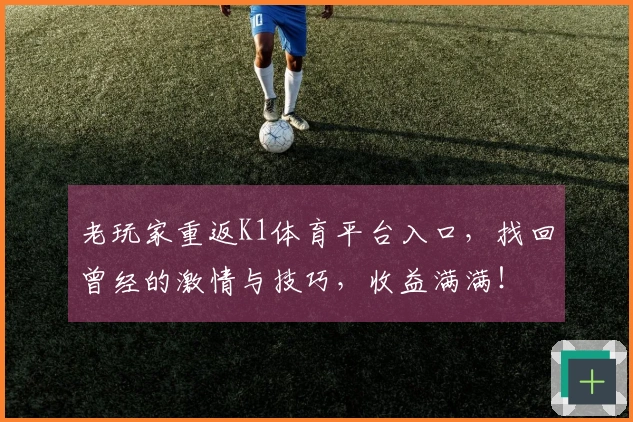 老玩家重返K1体育平台入口，找回曾经的激情与技巧，收益满满！