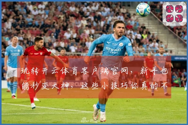 玩转开云体育客户端官网，新手也能秒变大神，这些小技巧你真的不知道！