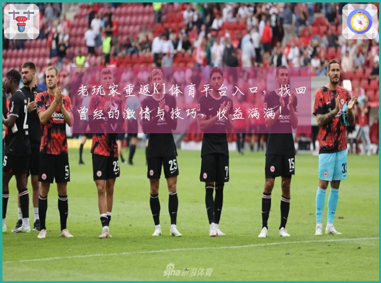 老玩家重返K1体育平台入口，找回曾经的激情与技巧，收益满满！