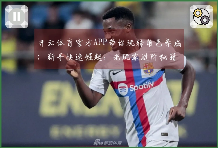 开云体育官方APP带你玩转角色养成：新手快速崛起，老玩家进阶秘籍揭秘！